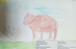 Сенькина Виктория, 6 лет, МБДОУ № 34 «Морячок» г.Поронайск.