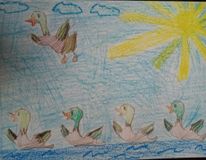 Сурина Даша, 6 лет,МБДОУ № 34 Морячок г.Поронайск