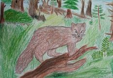 Гапич Александр, 12 лет,ГКОУШИ г.Поронайск